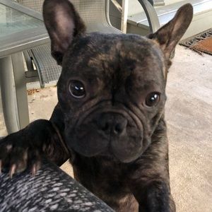 Meet your Posher, Erica